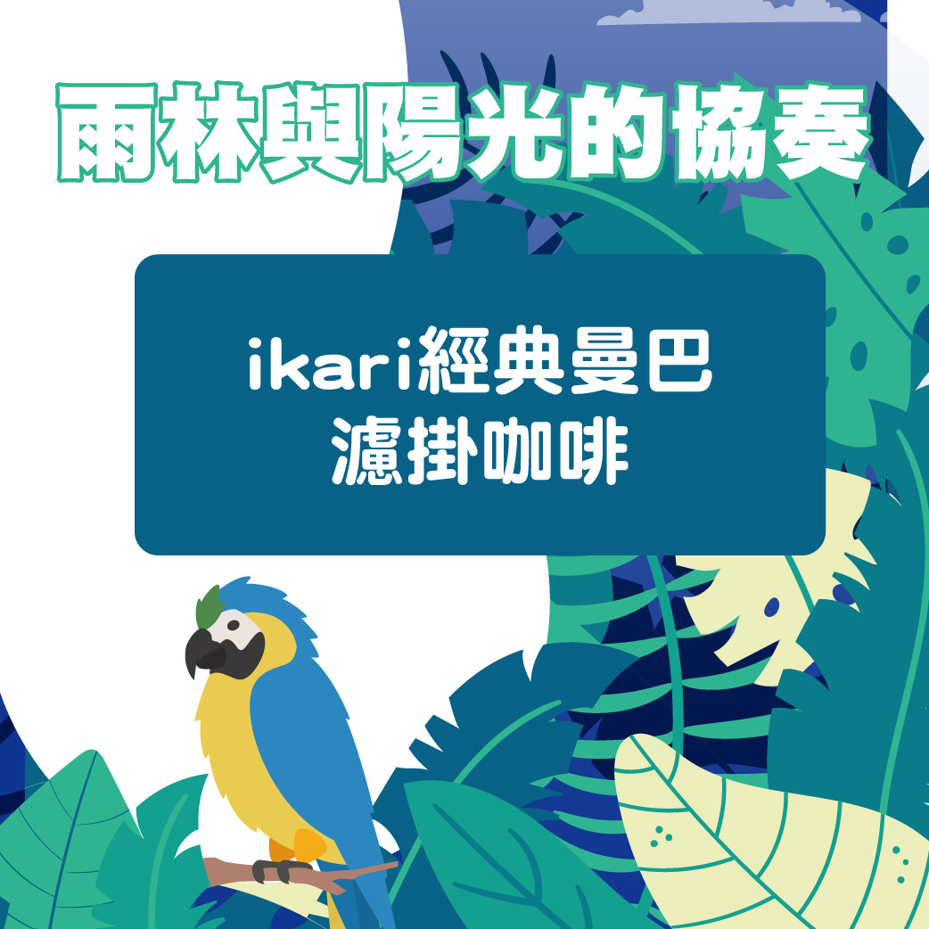 雨林與陽光的協奏