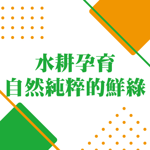水耕孕育 自然純粹的鮮綠